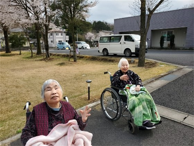 桜が咲きました