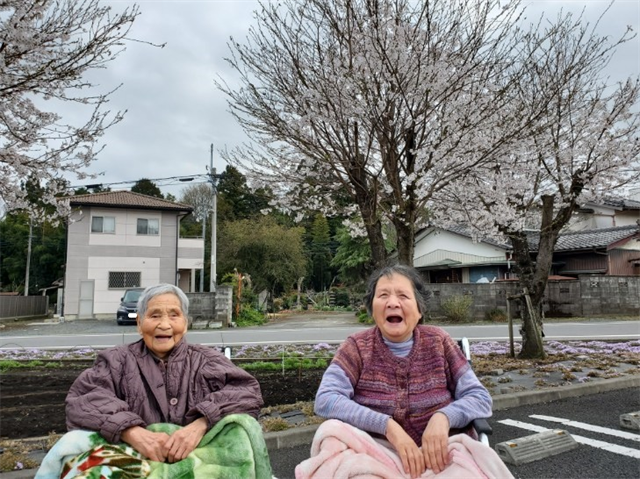 桜が咲きました