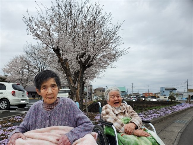 桜が咲きました