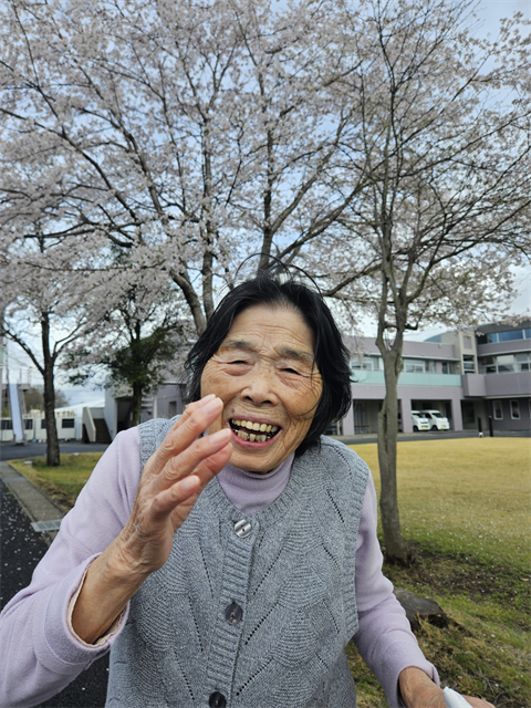 桜を見に行きました