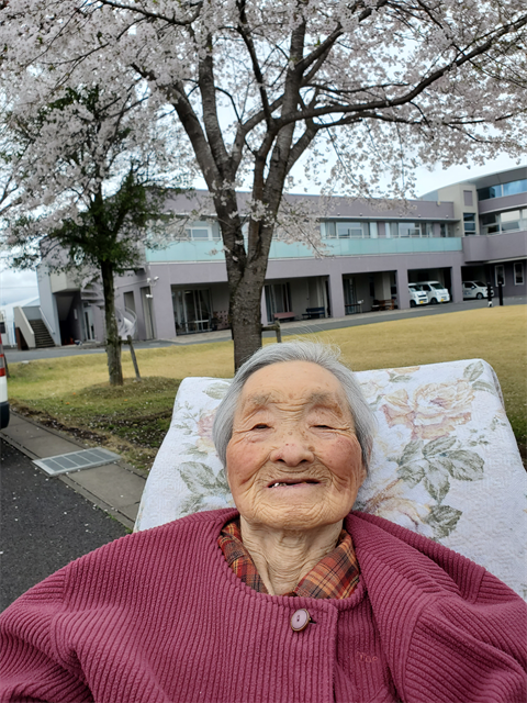 桜を見に行きました