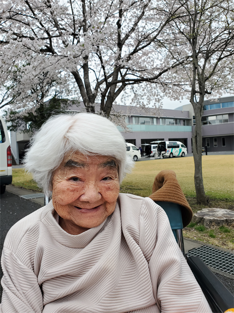 桜を見に行きました