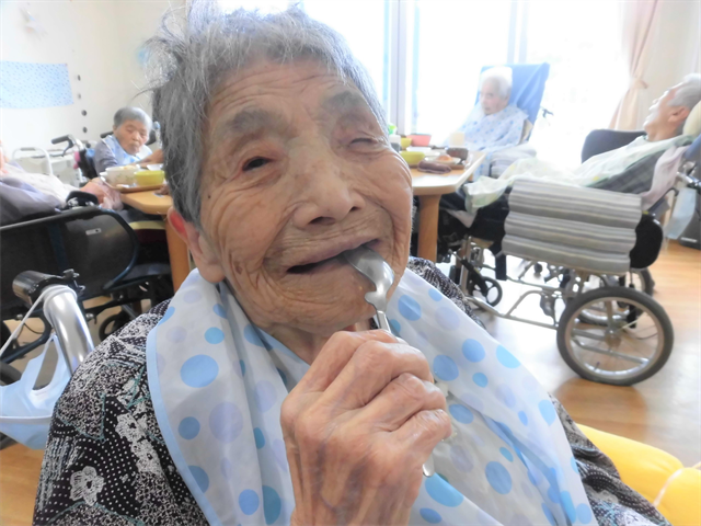 ロコモコ丼
