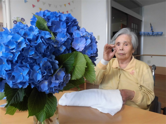 紫陽花