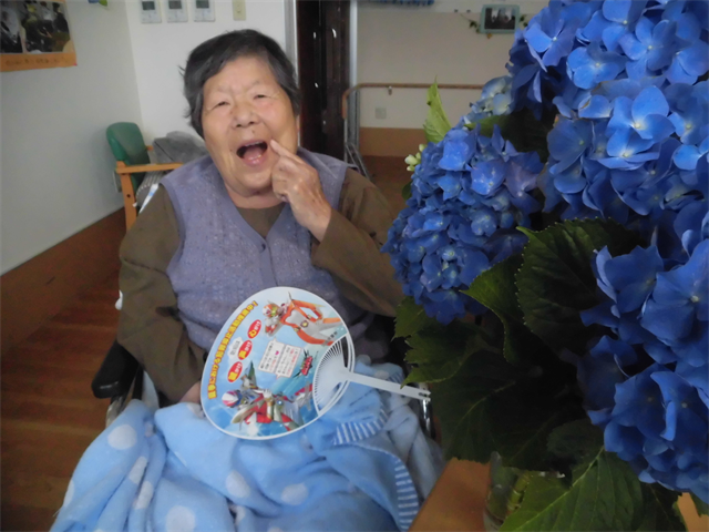 紫陽花