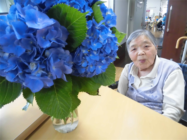 紫陽花