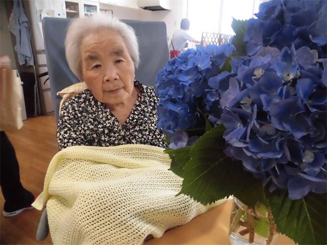 紫陽花