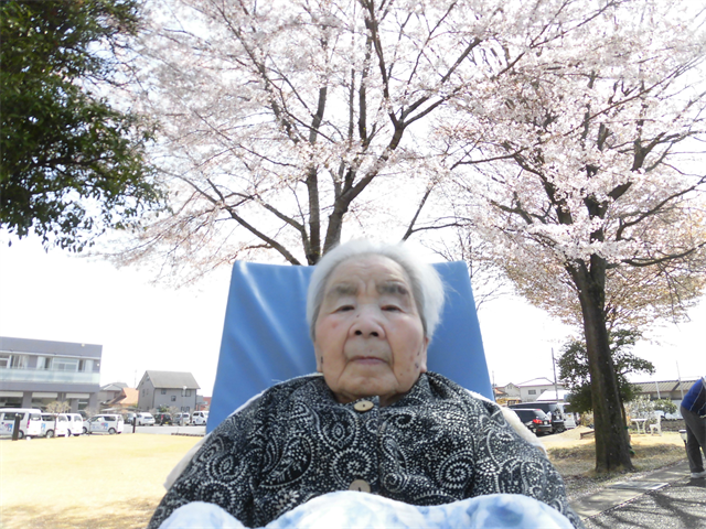 中庭でお花見