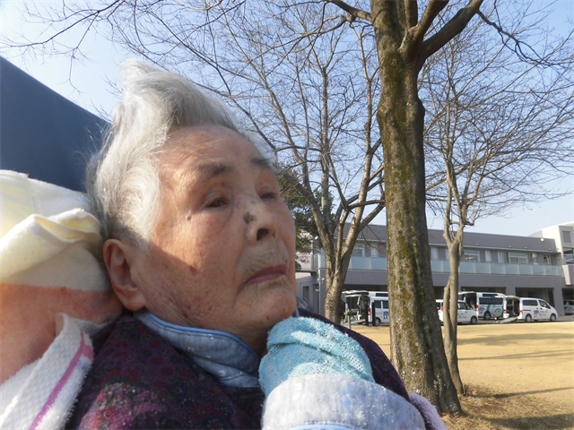 散歩行う