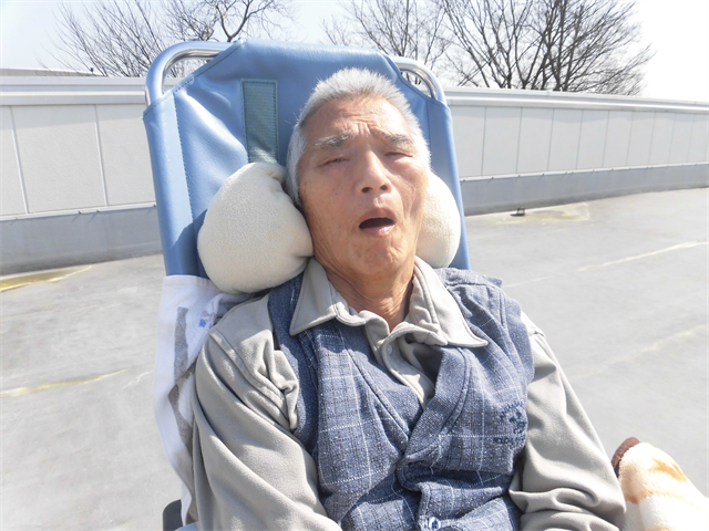 散歩行う
