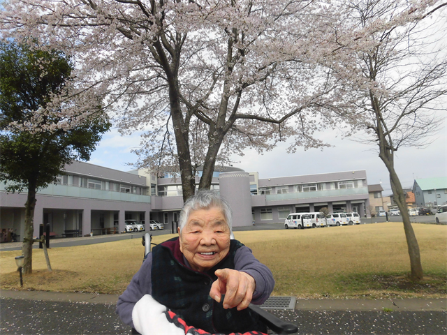 おでん＆桜鑑賞