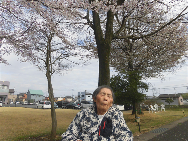 おでん＆桜鑑賞