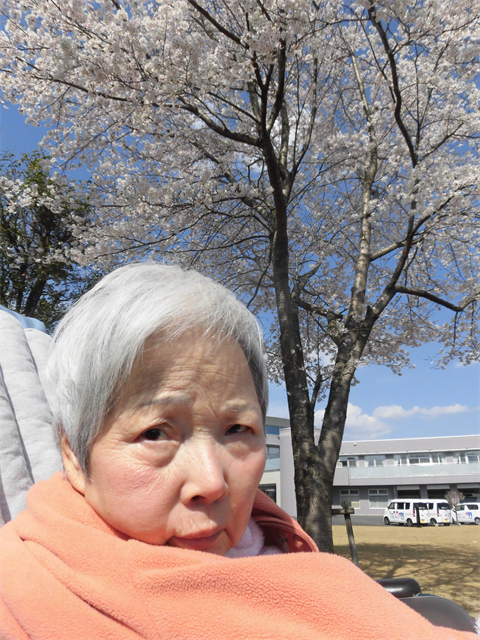 桜の木の下で