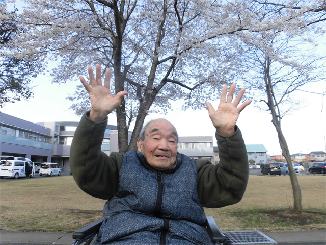 桜の木の下で