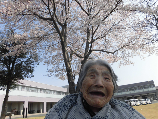 お花見しました