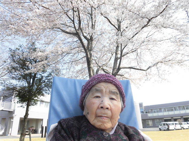 桜の木の下で