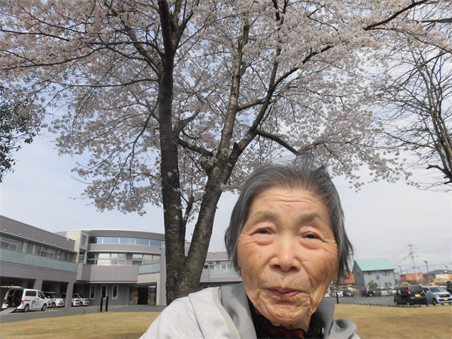 桜の木の下で