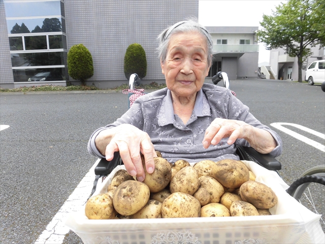 じゃが芋掘り