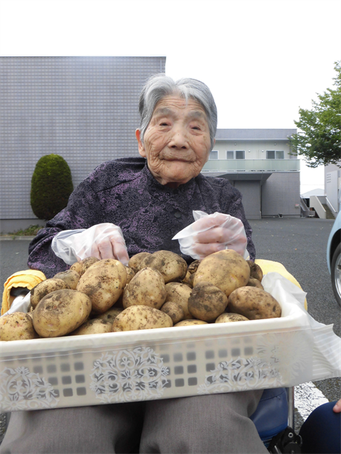 じゃが芋掘り