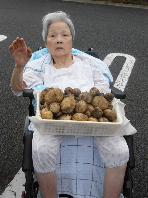 じゃが芋掘り
