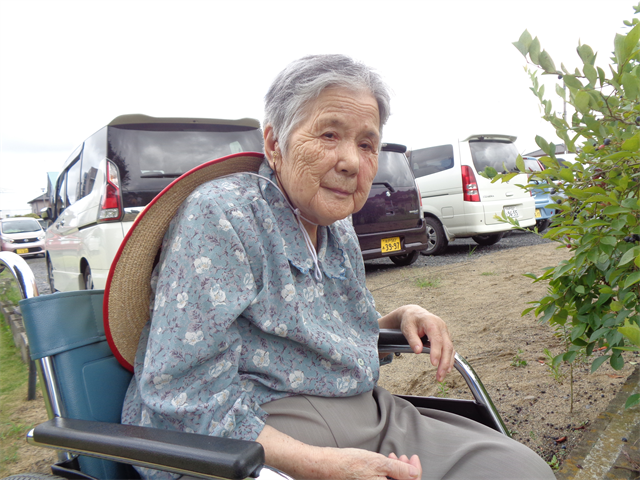 ブルーベリー採取