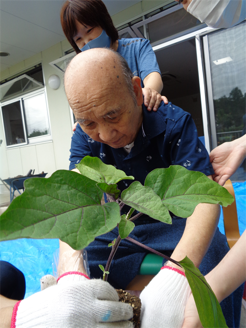 芋ほりと苗植え