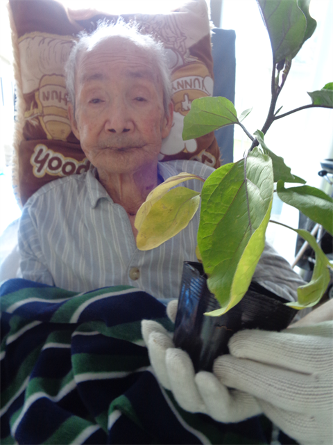 芋ほりと苗植え