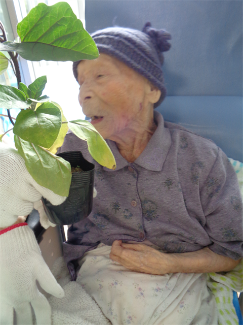 芋ほりと苗植え
