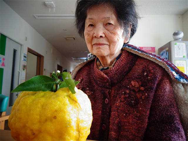 大きなゆず