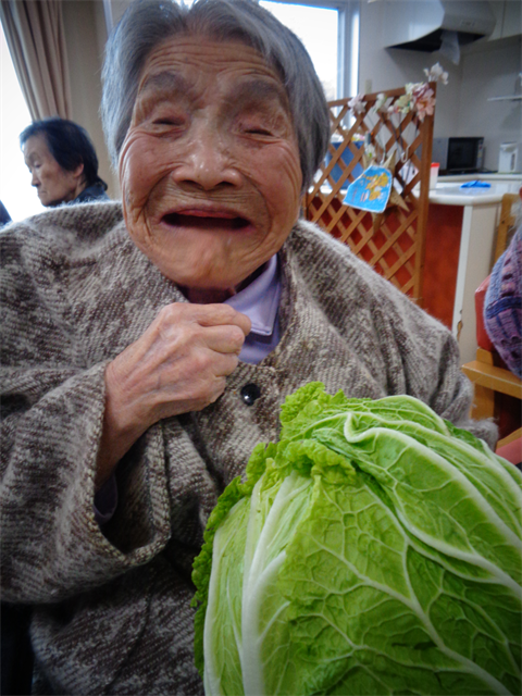 大きな白菜と