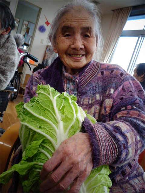 大きな白菜と