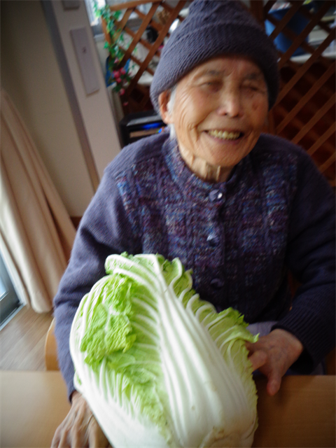 大きな白菜と