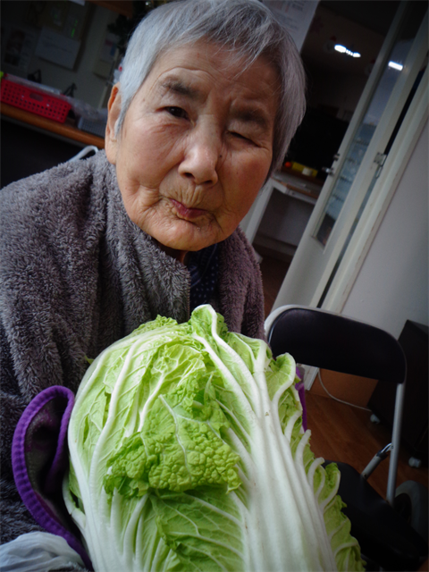 大きな白菜と