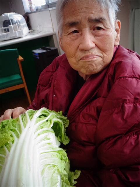 大きな白菜と