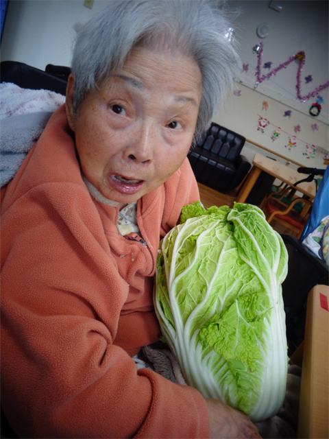 大きな白菜と