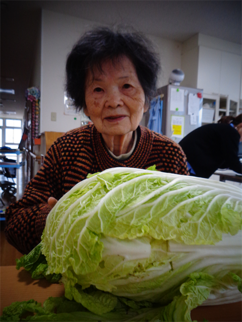 大きな白菜と