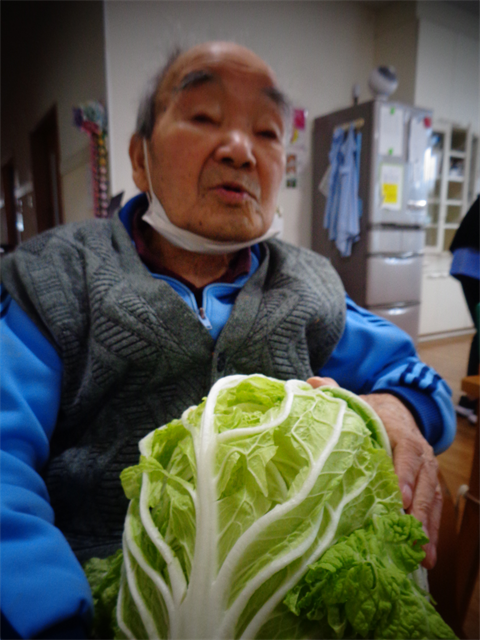 大きな白菜と