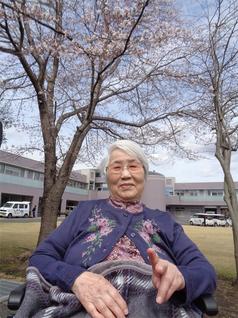 桜を見に行きました