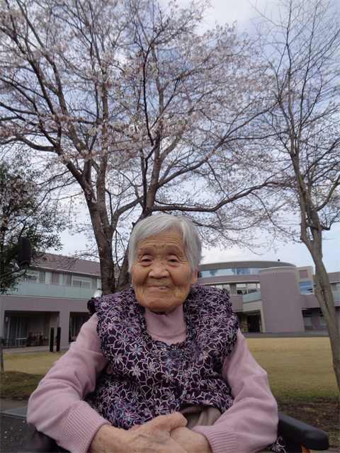 桜を見に行きました