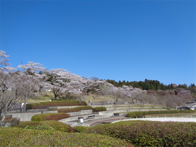 静峰公園へ