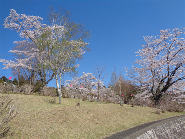 静峰公園へ
