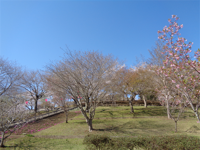 静峰公園へ