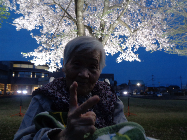 夜桜とってもキレイ