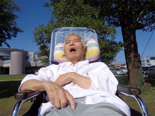 ポカポカ陽気でお散歩