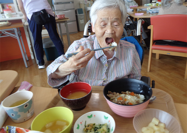 昼食に牛丼が