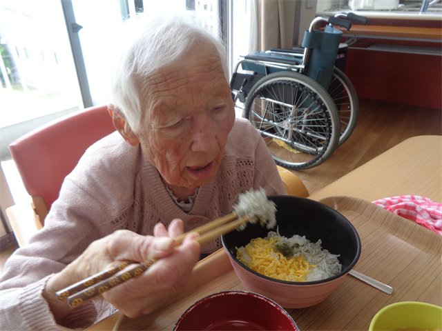 お昼はシラスご飯