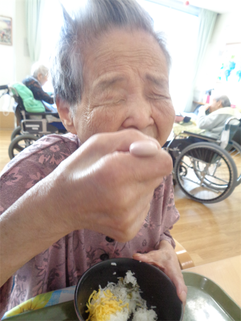 お昼はシラスご飯