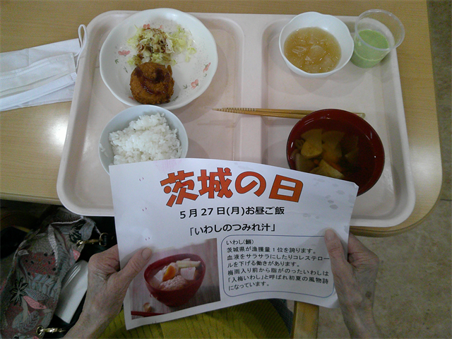日中の様子