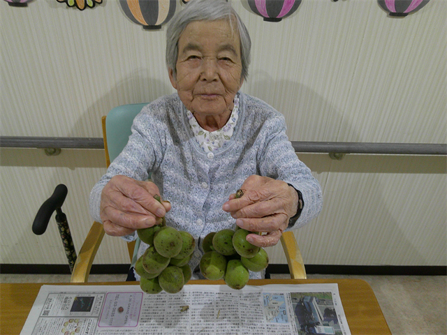 日中の様子