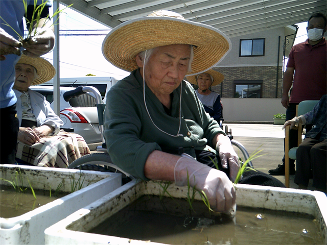 田植えしました